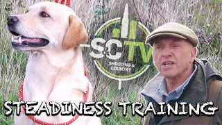 S&C TV | Gundog training steadiness, with Howard Kirby