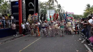 Lechones Desfile Final Carnaval Puerto plata 2019