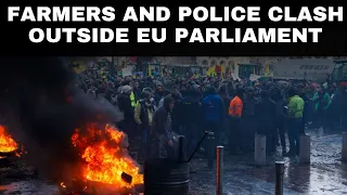 Europe Farmers Protest Live: Protesting Farmers Clash With Police In Front Of Eu Parliament