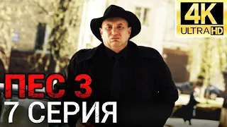 Сериал ПЕС 3 сезон - 7 серия - Все серии подряд в 4К - Смотреть онлайн в хорошем качестве