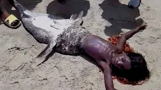 They Found A Mermaid In Ocean... The Ending Will Shock You...