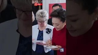 彭丽媛同匈牙利总统夫人共同参观布达王宫并茶叙 | CCTV