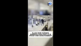Flash mob targets Sherman Oaks Macy's in smash-and-grab robbery caught on video