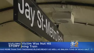 Man Dies After Being Pushed Onto Subway Tracks In Brooklyn