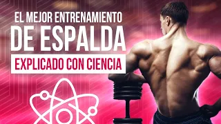 El mejor entrenamiento de espalda / Explicado con ciencia