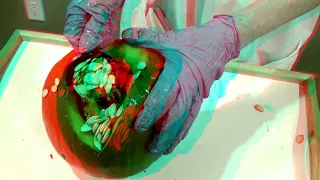 Pumpkin Autopsy in 3D Anaglyph