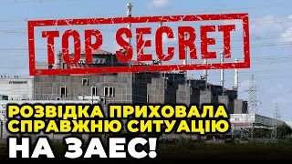 ⚡️ЕКС-РОЗВІДНИК КДБ ЗЕЛЕНЬКО назвав СКІЛЬКИ потрібно ВИБУХІВКИ для підриву ЗАЕС, Буданов помилився