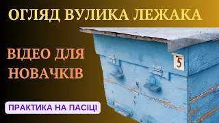 Вулик лежак, огляд з практичної точки зору. Відео для початківців. Для профі не дивитися!