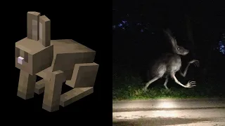 Minecraft Mobs As Cursed Images Part 2 (Extra Creepy)