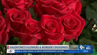 Crossing flowers from Juarez to El Paso Valentines Day do's and don'ts