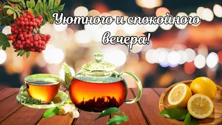 Добрый вечер! Уютного и спокойного вечера! Хороший вечер! Доброй ночи!