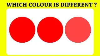 If You Can Pass This Test, You Have Unique Eyesight  Can You | Brain Puzzle