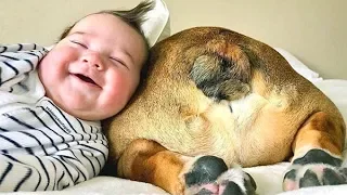 Cute Babies and Funny Dogs Playing Together Compilation