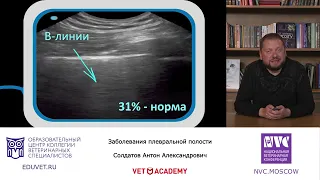 Солдатов А. А. - Заболевания плевральной полости