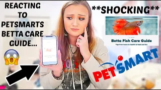 REACTING TO PETSMARTS BETTA FISH CARE GUIDE!! *SHOCKING* | ItsAnnaLouise