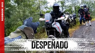 DUCATI FALLS down a ravine in the RODIBOOK / With MCMARTIN, GOATS ON WHEELS and TRAILDREAMER