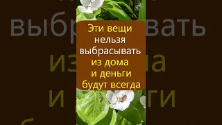 Эти вещи нельзя выбрасывать из дома, чтобы не навлечь на себя беду