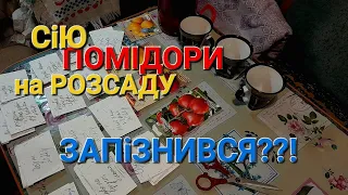 Вирощування розсади томатів на підвіконні/// Як сіяти помідори на розсаду видео@Dacha_Sad_Gorod