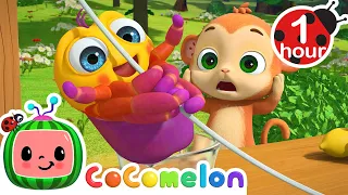 Itsy Bitsy Spider (Baby Animal Stories for kids) | Cocomelon Animal Time Nursery Rhymes