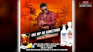 Adesh Samaroo - One Nip Ah Something (2024 Chutney Soca)