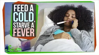 Should You Really 'Feed a Cold, Starve a Fever'?
