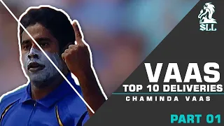 Chaminda Vaas Top 10 Delivers. | you must watch |