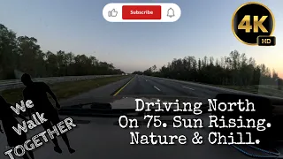 Nature & Chill. Driving North on 75 in Florida at Sunrise. 4k ASMR Time Lapse.