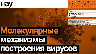 «Молекулярные механизмы построения вирусов». Спикер: Батищев  Олег Вячеславович