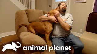 Baker Red Helps A Mourning Family | Pit Bulls and Parolees | Animal Planet