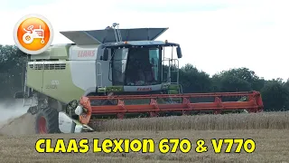 Harvest 2022 | Claas Lexion 670 combine & V770 header