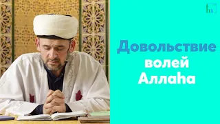 Довольствие волей Аллаhа