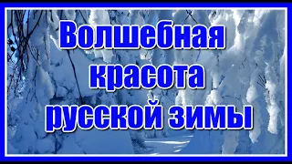 Потрясающая мелодия для души! Красивая инструментальная музыка Сергея Чекалина. Послушайте!