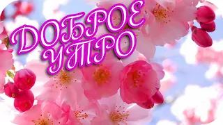 Доброе утро! 🌸Я доброго утра желаю тебе! 🌸 Good morning!🌸