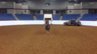 Freestyle reining double dan horsemanship