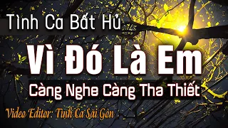 Vì Đó Là Em – Tình Ca Sài Gòn Hải Ngoại Càng Nghe Càng Tha Thiết | Top Những Bài Hát Xưa Hay Nhất