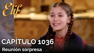 Elif Capítulo 1036 | Reunión sorpresa