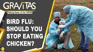 Gravitas: Bird flu scare in India, Europe and Japan