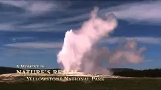 Йеллоустонский национальный парк.Гейзер.( Yellowstone National Park)