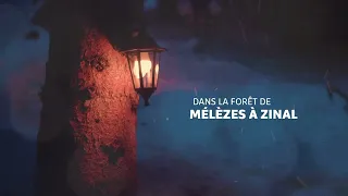 La nuit des mélèzes à Zinal