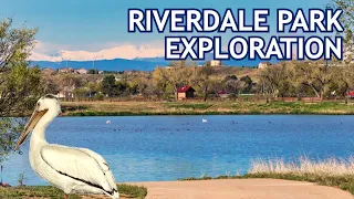 Biking & Birdwatching at Riverdale Regional Park in Thornton, Colorado