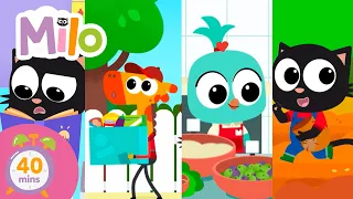 ¡Del supermercado al plato! Milo nos enseña el proceso de la comida 🍽 #dibujos #niños