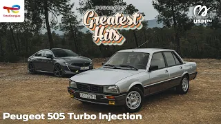 Peugeot 505 Turbo: Berlina deportiva, turbo y trasera, a la francesa [#USPI - #POWERART] S11-E13