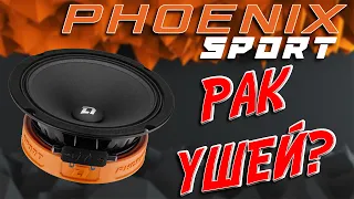 Новые эстрадные динамики DL Audio Phoenix 165 SPORT - стоит покупать или нет?