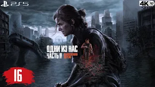 Одни из нас: Часть 2 Обновленная версия / Remastered ➤ Прохождение 16 [PS5/4К/60] 18+