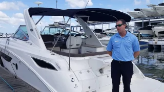 2015 Sea Ray 350 Sundancer Sport Yacht For Sale at MarineMax Sarasota