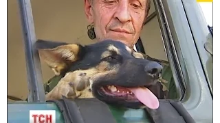 Українських бійців у зоні АТО оберігають кошенята, собаки та пташки