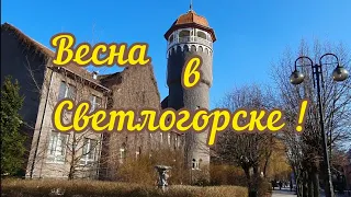 Весна в Светлогорске - прогулка по городу !#светлогорск#раушен#калининградскаяобласть