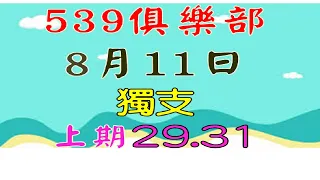 8月11日539傳奇俱樂部獨支-上期29.31