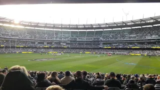 Hawthorn Hawks vs Collingwood Magpies | Coin Toss & Start of Game | 5 August 2023