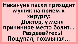 Мужик на приеме у хирурга жалуется на это место... Анекдоты смешные до слез! Юмор! Приколы!